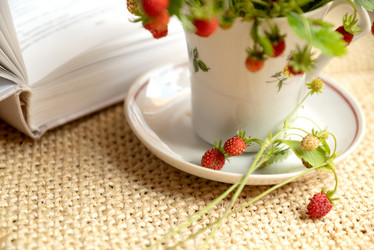 Similar image 21446606