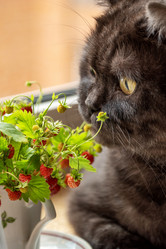 Similar image 21446607