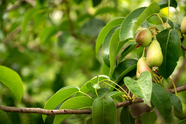 Similar image 21445837