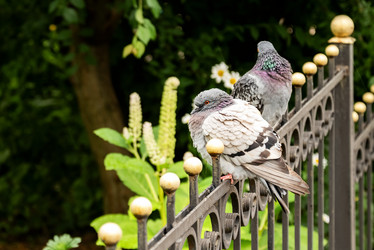 Similar image 21445839