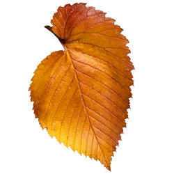 Similar image 21445845