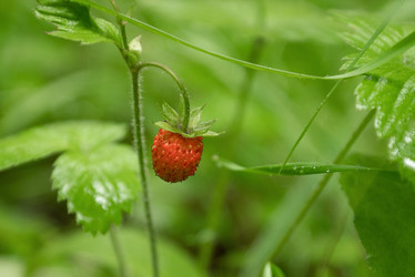 Similar image 21445848