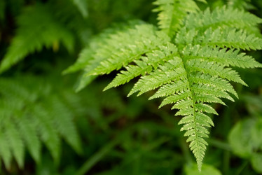 Similar image 21446043