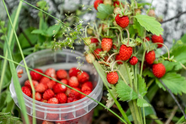 Similar image 21446047