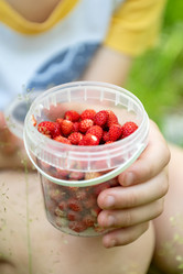 Similar image 21446612