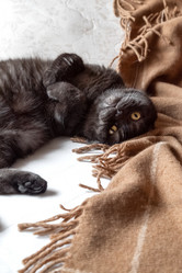 Similar image 21446050