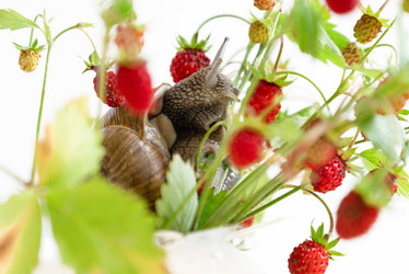 Similar image 21446054