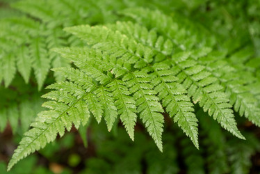 Similar image 21447166