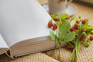 Similar image 21447772