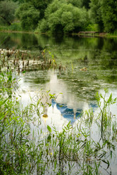 Similar image 21446616