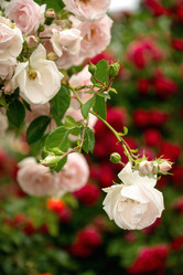 Similar image 21446063