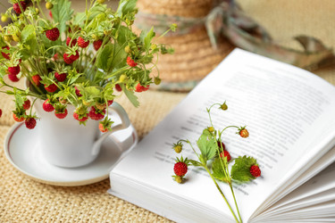 Similar image 21446065