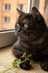 Similar image 21446617