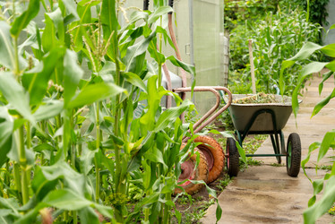 Similar image 21446068