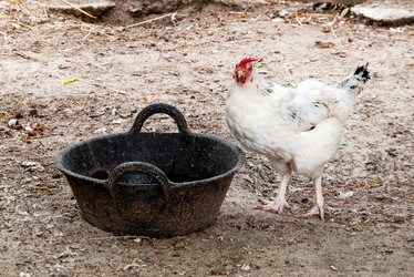 Similar image 21446620