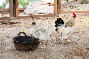 Similar image 21447774