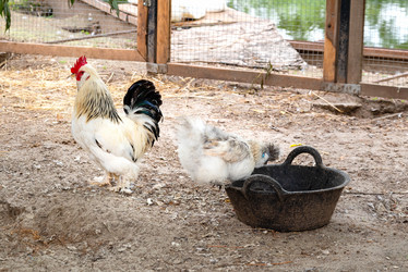 Similar image 21447167