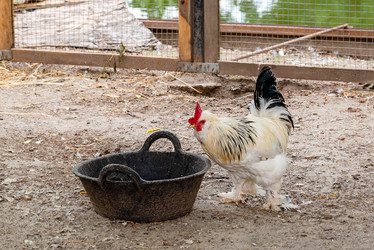 Similar image 21447168