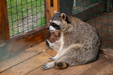 Similar image 21447169