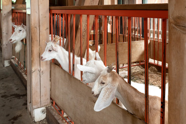 Similar image 21447777