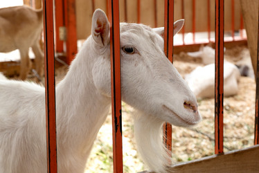 Similar image 21447173