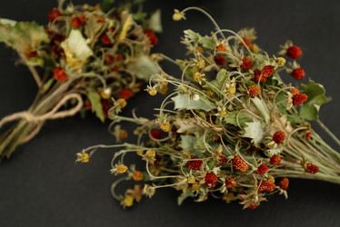 Similar image 21447191