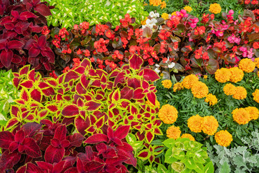 Similar image 21447195