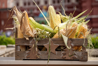 Similar image 21447197