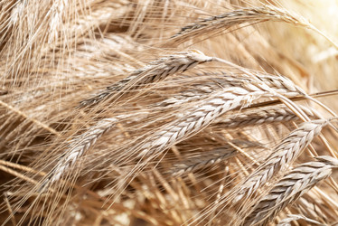 Similar image 21447198