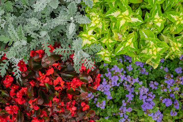 Similar image 21447201