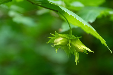 Similar image 21447202