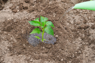 Similar image 21446370