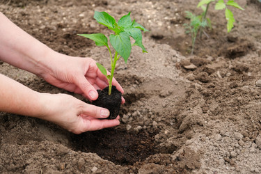 Similar image 21446371