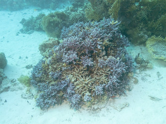 Similar image 21446230