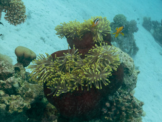 Similar image 21446231