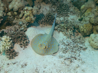 Similar image 21446233