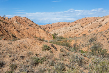 Similar image 21446239