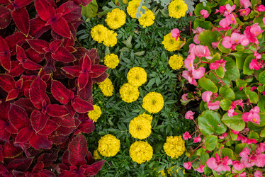 Similar image 21447203