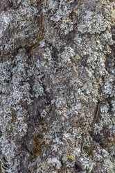 Similar image 21446381