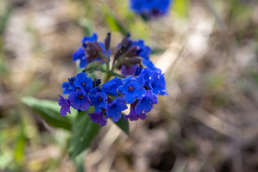 Similar image 21446384