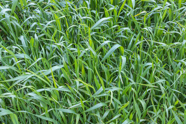 Similar image 21446386