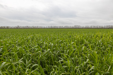 Similar image 21446387