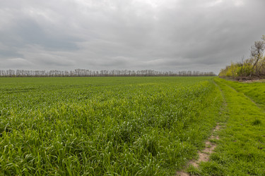 Similar image 21446388