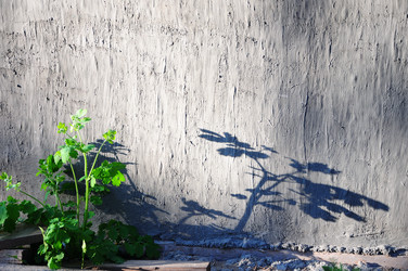 Similar image 21446746