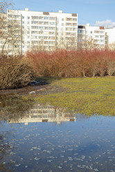 Similar image 21446392