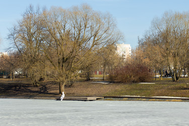 Similar image 21446393