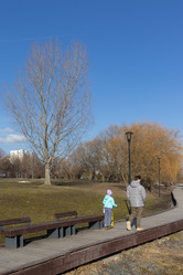 Similar image 21446395