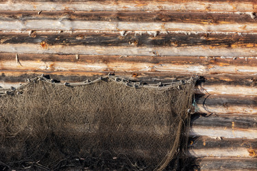 Similar image 21446411