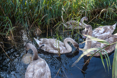 Similar image 21469903