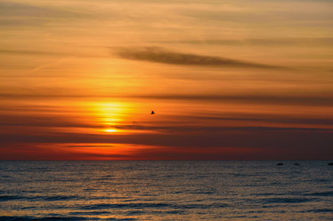 Similar image 21469909